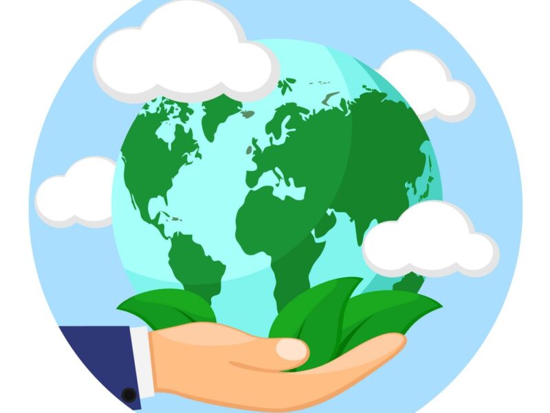 vision1 Healthy planet with green leaves in the hand of man. Logo on a white background.